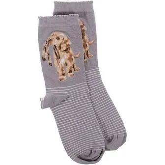 "Hopeful" Dog Socks